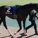 【競馬速報】エピカリスの言い訳が残念｜１口馬主やる気ないって思う人多い？