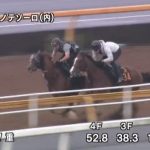 【競馬結果】【ユニコーンステークス 2017】追い切り・コメント/各馬の状態を見極めろ