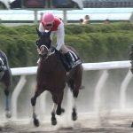 【競馬情報】【マリーンステークス 2017】出走予定馬・予想オッズ/テイエムジンソクが人気