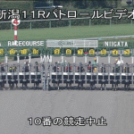 【競馬情報】【競馬】テイエムアンムート、歩いてゲートを出る/レパードＳ