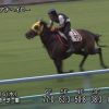 【競馬情報】【北九州記念 2017】追い切り・コメント/各馬の状態を見極めろ