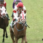 【競馬速報】【小倉2歳ステークス 2017】出走予定馬・予想オッズ/スピード豊かな若駒たち