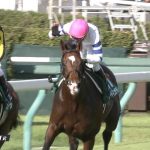 【競馬速報】【新潟記念 2017】出走予定馬・予想オッズ/ハンデ差が波乱を巻き起こす