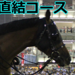 【競馬情報】【2017年】小倉2歳S予想｜複勝圏内馬の活躍コースとはから見る傾向