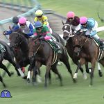 【競馬情報】【紫苑ステークス 2017】出走予定馬・予想オッズ/昨年はここから秋華賞馬が