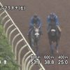 【競馬ニュース】【京成杯オータムハンデキャップ 2017】追い切り・コメント/各馬の状態を見極めろ