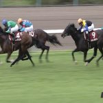 【競馬結果】【セントライト記念 2017】出走予定馬・予想オッズ/三枚の出走権を求め