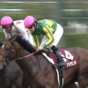 【競馬結果】【神戸新聞杯 2017】出走予定馬・予想オッズ/実績馬か上り馬か