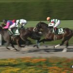 【競馬ニュース】【競馬】荒れると思ってなんかもうめちゃくちゃやった/シリウスＳ