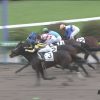 【競馬ニュース】【競馬】藤田菜七子騎手、鮮やかな追い込みを決める