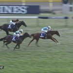 【競馬情報】【ジャパンカップ】シュヴァルグランＧ１初制覇!!!キタサンブラックは3着