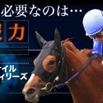 【競馬情報】阪神ジュベナイルフィリーズ予想｜2017年｜直前ニュースまとめ