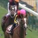 【競馬ニュース】【フローラステークス 2017】出走予定馬・想定騎手/オークスへの道を開く
