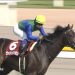 【競馬ニュース】【青葉賞 2017】出走予定馬・想定騎手/晴れ舞台への切符を求め