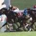 【競馬結果】[競馬] キタサンブラック微妙