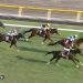 【競馬情報】【目黒記念 2017】movie・結果/フェイムGAMEが差し切り復活V