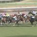 【競馬ニュース】【マーお手伝いさんステークス 2017】データ・枠順/データから導かれる激走馬は？