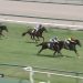 【競馬速報】【中京2歳ステークス 2017】ムービー・結果/アマルフィコーストが接戦を制する