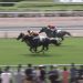 【競馬情報】【小倉サマージャンプ 2017】movie・結果/ソロルが障害でも重賞制覇
