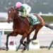 【競馬速報】菊花賞｜2016年｜過去の活躍馬からその馬の活躍コースを知る