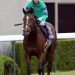 【競馬結果】菊花賞 ディーマジェスティ４着 二ノ宮調教師「敗因は初輸送」