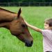 【競馬結果】中京＆阪神初披露の馬が５連勝中!?【第52回シンザン記念】予想まとめ
