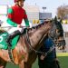 【競馬結果】「マイネルアウラート」地力はある！好位から粘って大波乱を演出する！【中京記念】