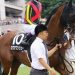 【競馬情報】「ロワアブソリュー」ブリンカーで一変!!!悲願の重賞獲り狙う!!!【中京記念】
